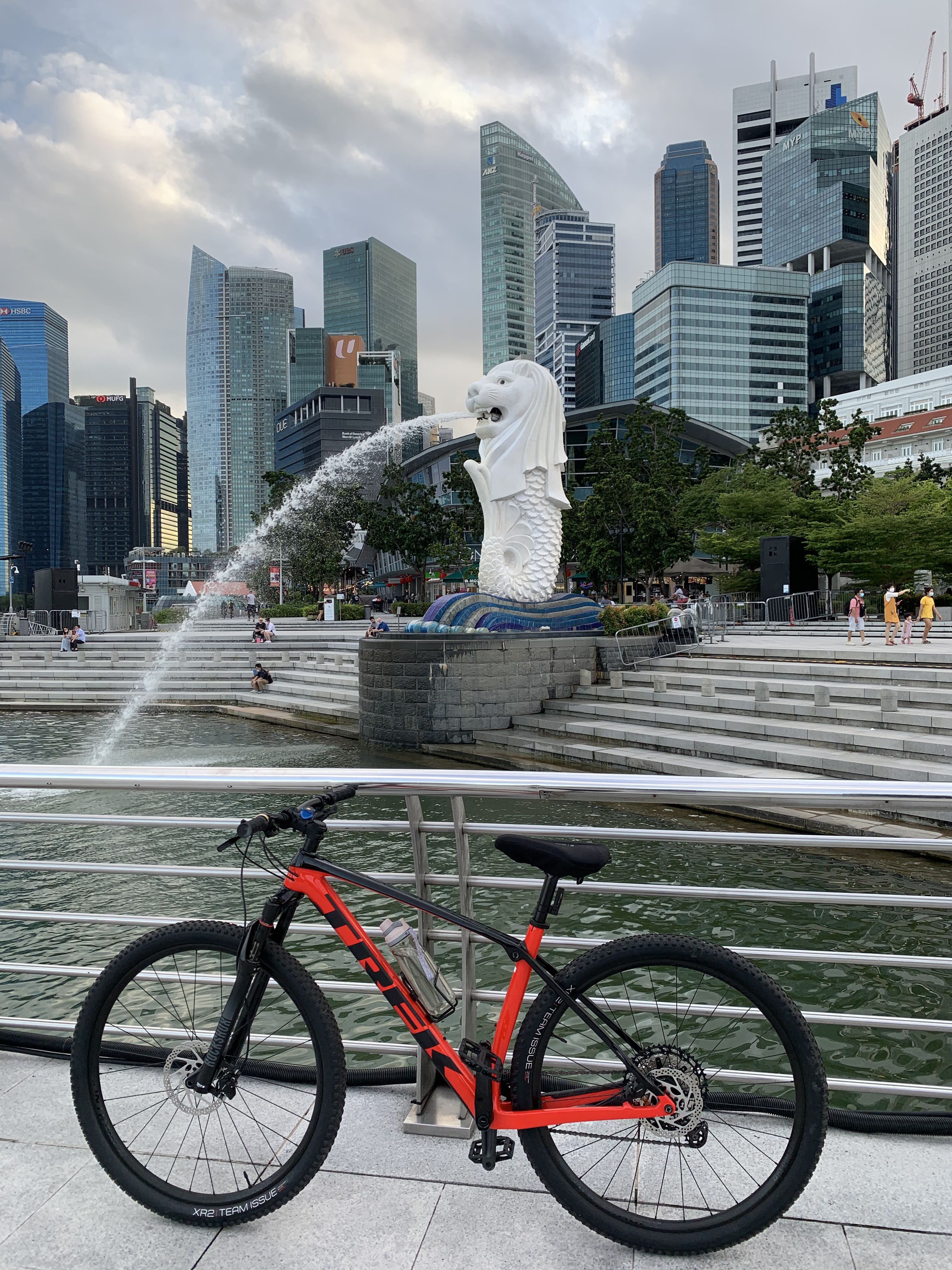 2021 Trek Pro Caliber 9.6 Mountain Bike 