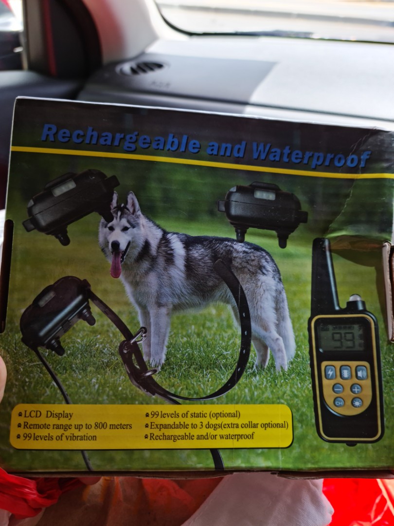 Brand New In Box Dog Training Collar Pet Supplies Homes Other Pet Accessories On Carousell