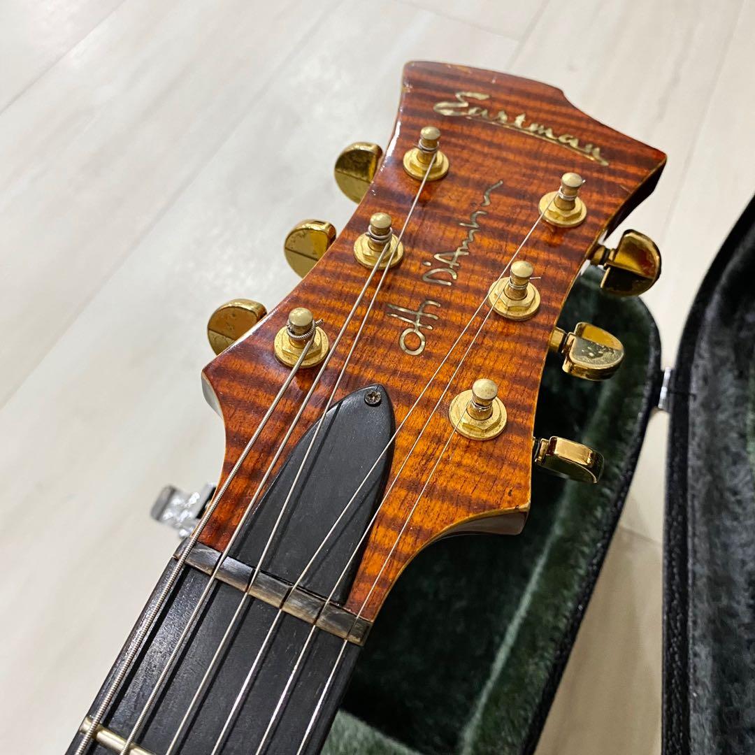 Eastman El Rey ER2 Archtop, Electric Guitar, Hobbies & Toys, Music