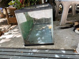 (Category: ) located in . Submitted by ricky7869 (Listing ID 1074262016, Image 1). Description: .