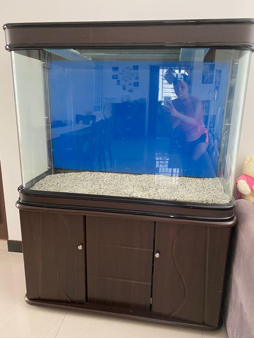 4 feet imported deals fish tank
