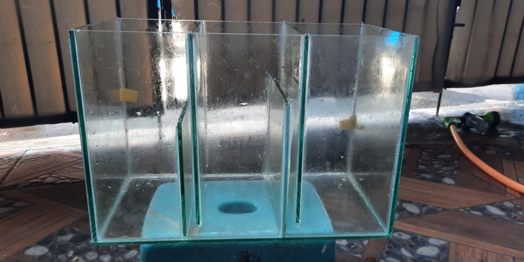 80 Susunan Filter Aquarium Mas Koki Gratis Terbaik