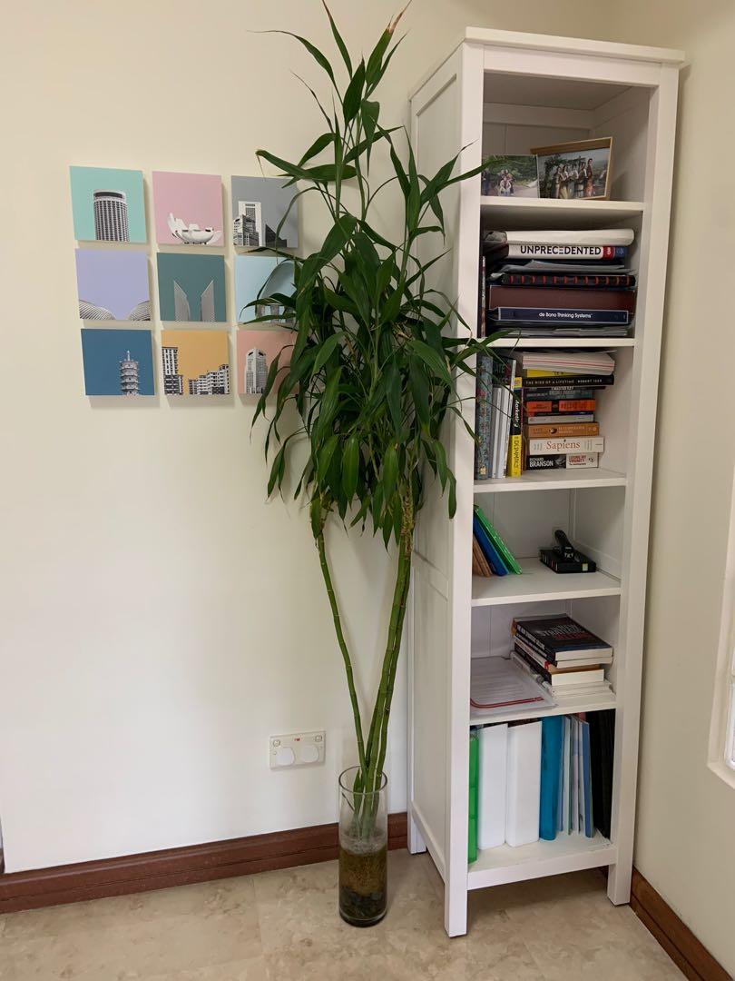 Brusali bookshelf sales