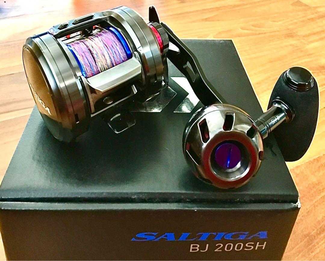 16000円安い 特売 大好評売り 美品 DAIWA SALTIGA BJ200SH