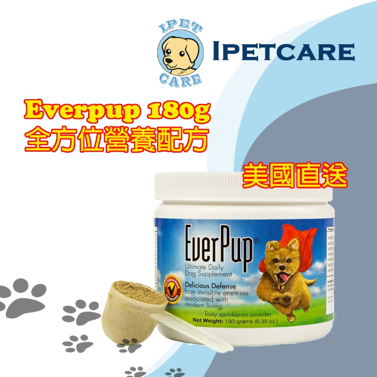 Everpup online