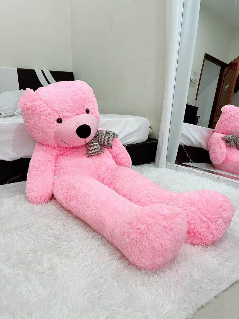 Bear besar 2025