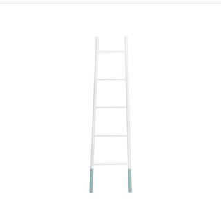 Ladder hanger