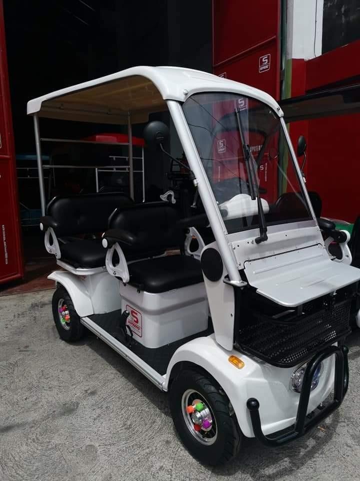 electric bike with cart