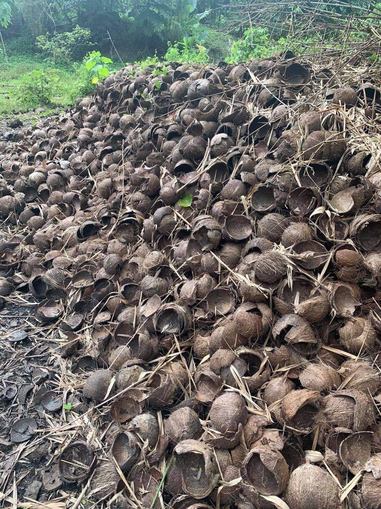Coconut Shell Charcoal ( Bao Uling) (Category: Fresh Produce) located in Mandaluyong City. Submitted by leianmaree (Listing ID 1074633220, Image 3). Description: Open for Reseller and Bulk Order For Export Quality Charcoal Coconut Shell Charcoal - Fixed Carbon Minimum 85% - Volatile Matter 8-10% -Ash 2% - Moisture <10% - Size Natural Lump - Packaging 30kg -40Kg in PP Bag - Color Uniform Black.