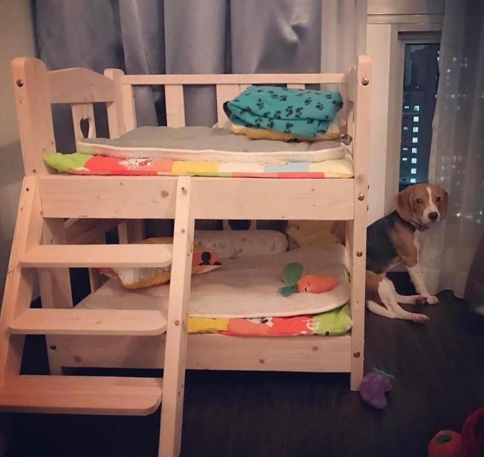 double decker dog bed