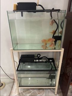(Category: ) located in . Submitted by dexxz (Listing ID 1074768273, Image 1). Description: .