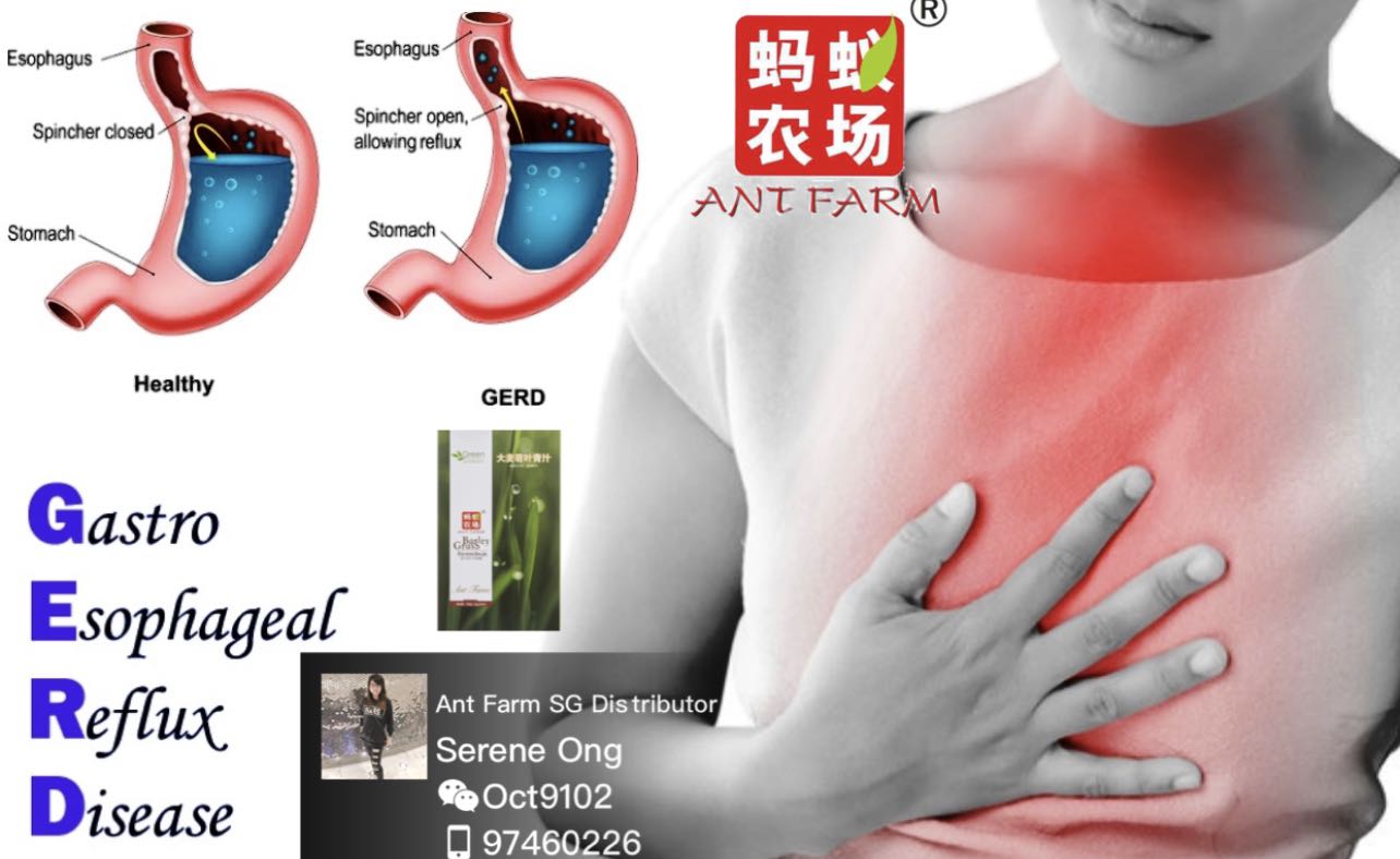 Gastric Pain ** Acid reflux ** Barley Grass Juice, Food & Drinks