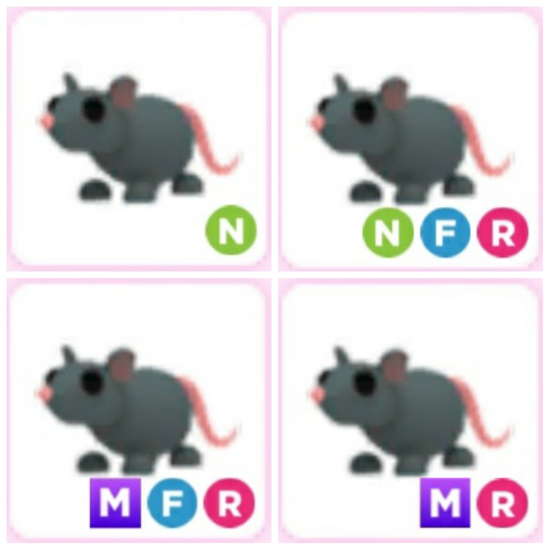 Rat sanctuary outlet near me