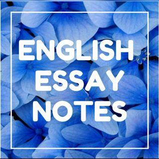 [sold 50+] O LEVEL/ A LEVEL ARGUMENTATIVE ESSAY NOTES (English Notes)