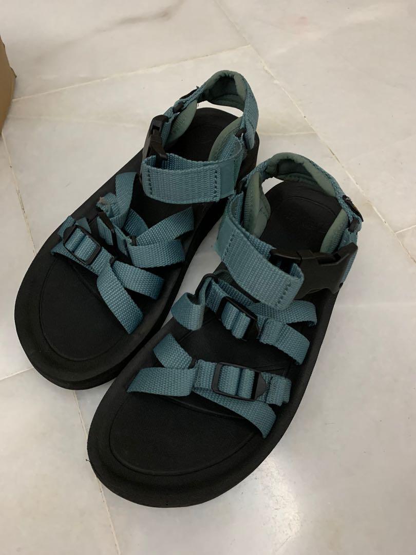 teva alp premier