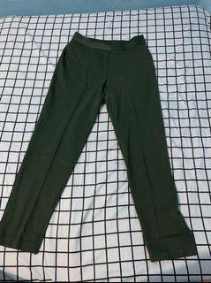 Uniqlo pants