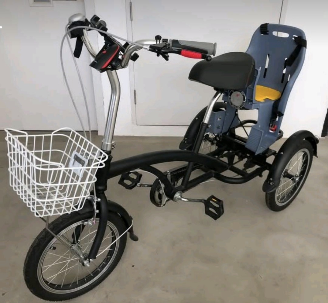 tricycle for adults with child seat