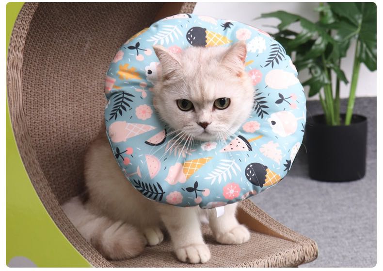 Cat soft donut e collar Pet Supplies Homes Other Pet