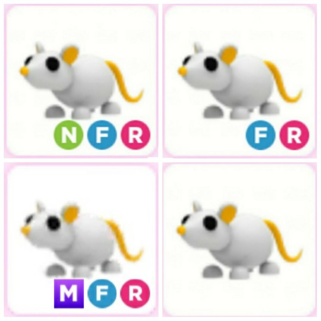 Golden Rat Norm Mega FR Adopt me pet Roblox, Video Gaming, Gaming