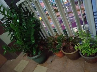 (Category: ) located in . Submitted by sharklaser (Listing ID 1074959762, Image 1). Description: .