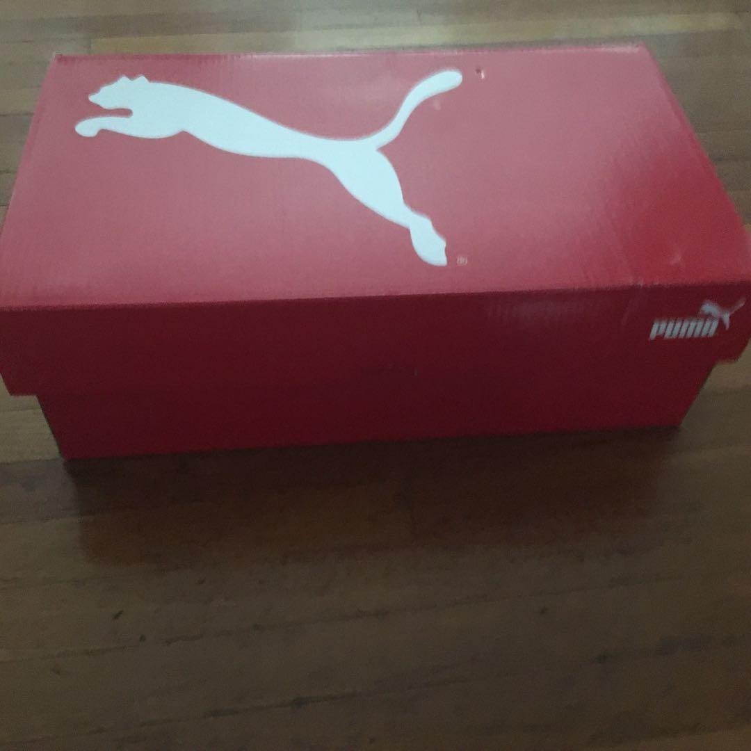 Puma ignite powercool 2025