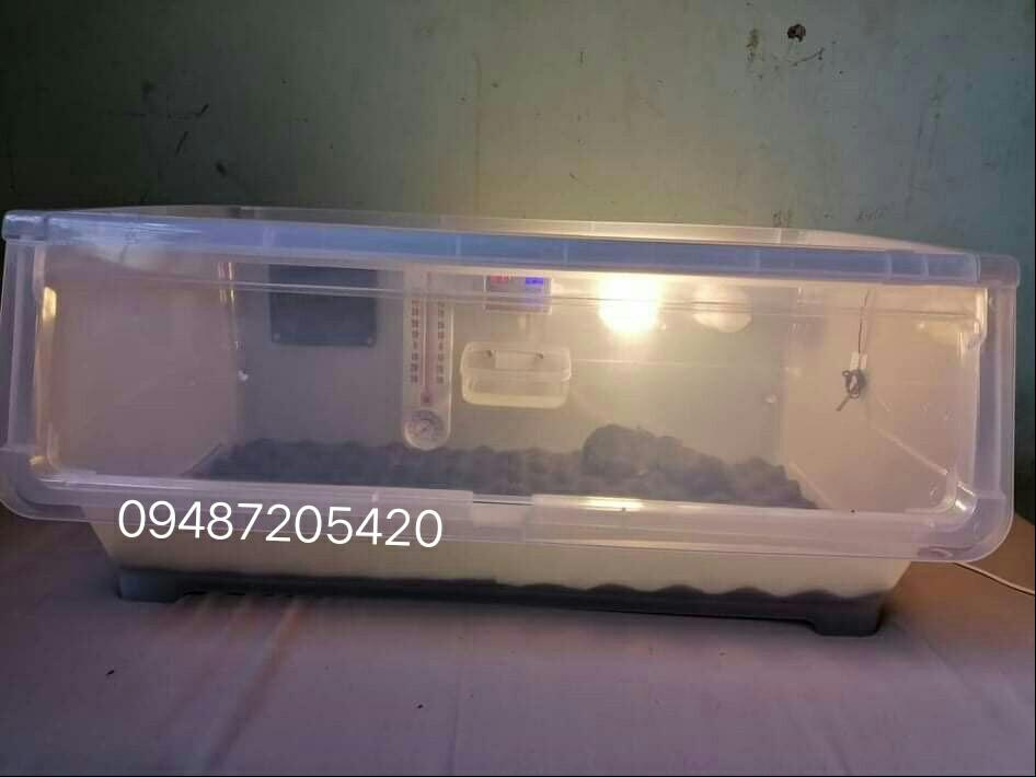 Puppy incubator for newborn puppies and kittens, Pet Supplies, Homes & Other Pet Accessories on