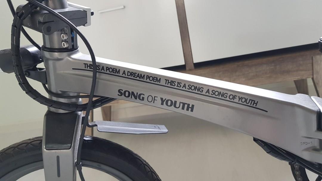 song of youth electric bike