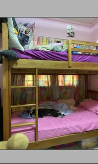 (Category: ) located in . Submitted by whuteve (Listing ID 1075029194, Image 1). Description: .