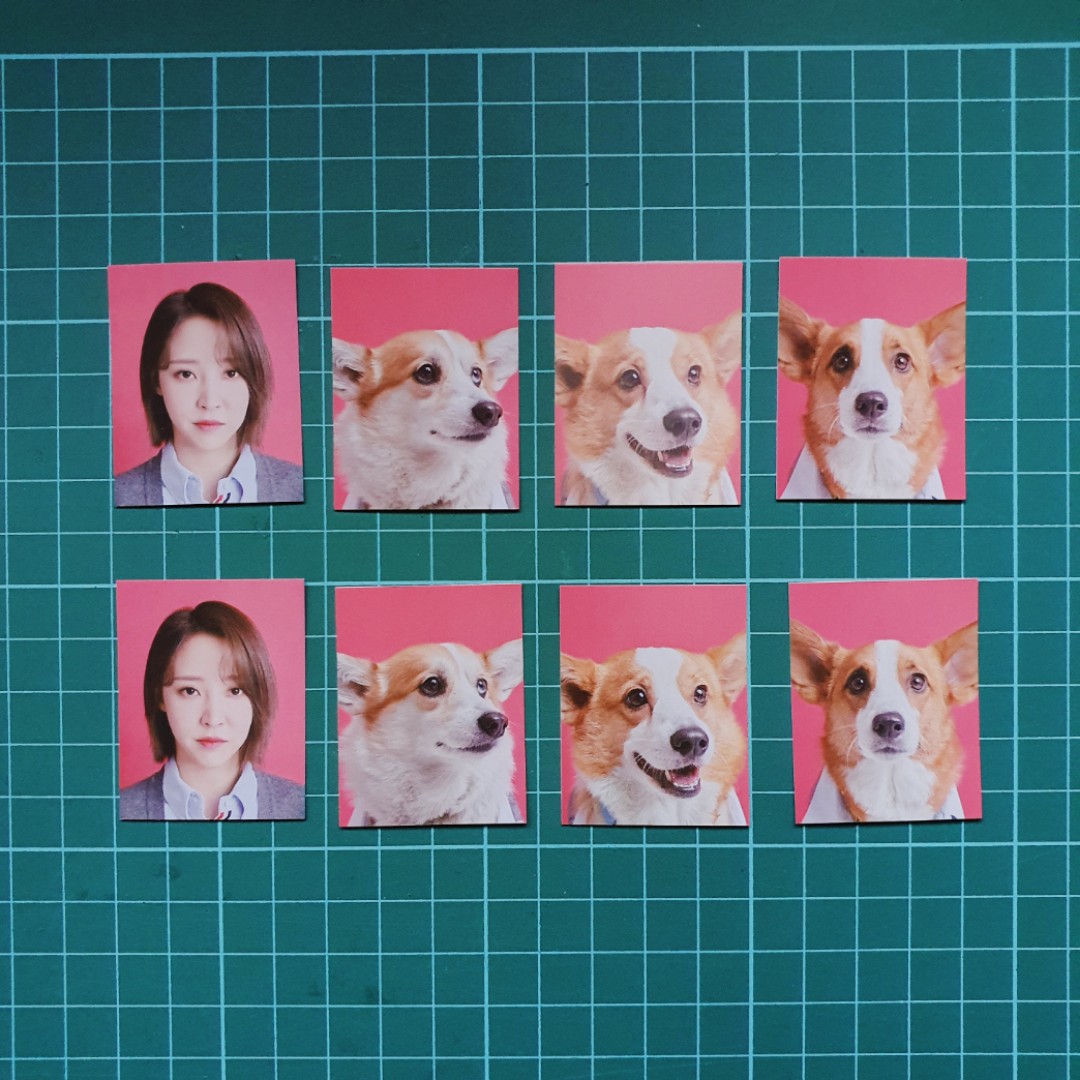 WTT /LF] Bak Woon Gang Home Kit - ID Photo / Moonbyul MAMAMOO