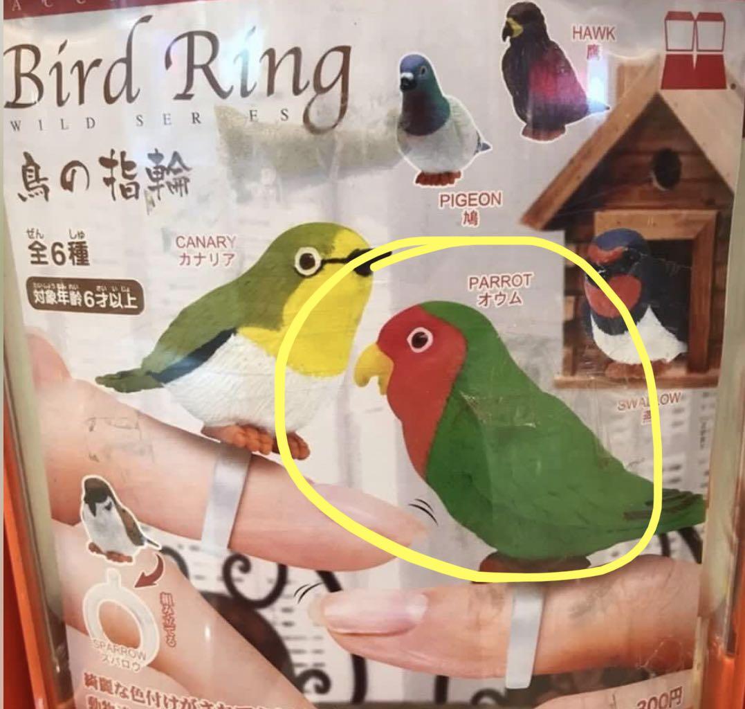 鳥之指輪bird Ring 扭蛋鸚鵡parrot Capsule Toy 雀 玩具 遊戲類 玩具 Carousell
