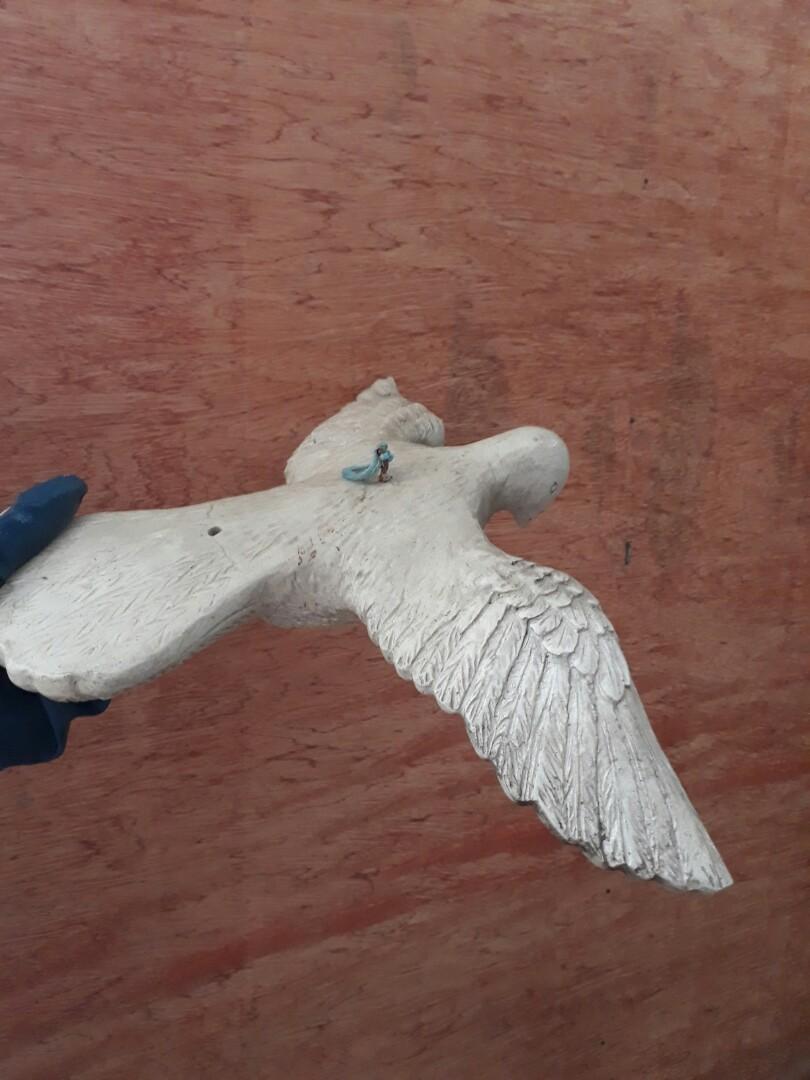 Angel& holy spirit religious items (Category: Religious Items) located in Antipolo. Submitted by blueshopvintage (Listing ID 1075103053, Image 3). Description: take all price holy spirit / dove figure angels holy water holder for faster transaction pls.message me at 09215692364.