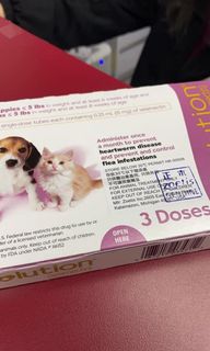 （分類：）位於 。 由 halobagel 提交（商品編號 1075168767，圖片 1）。簡介： 。