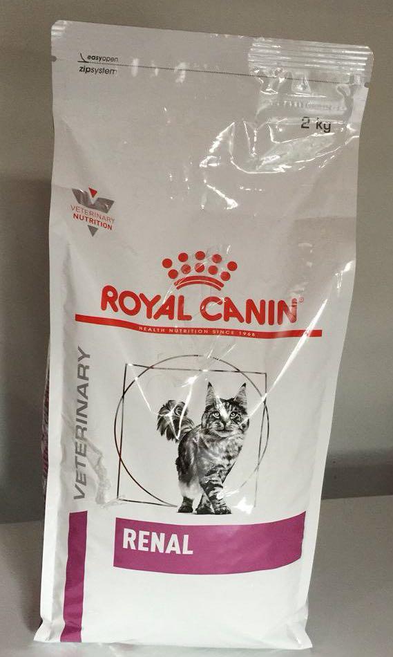 Royal store renal cat