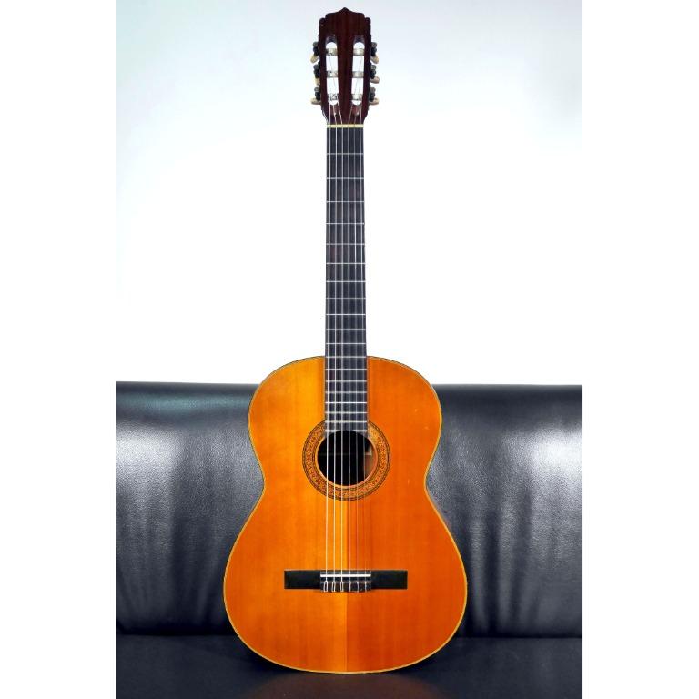 Ariana guitar price outlet
