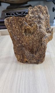(Category: ) located in . Submitted by agarwood.hongya (Listing ID 1075368056, Image 1). Description: .