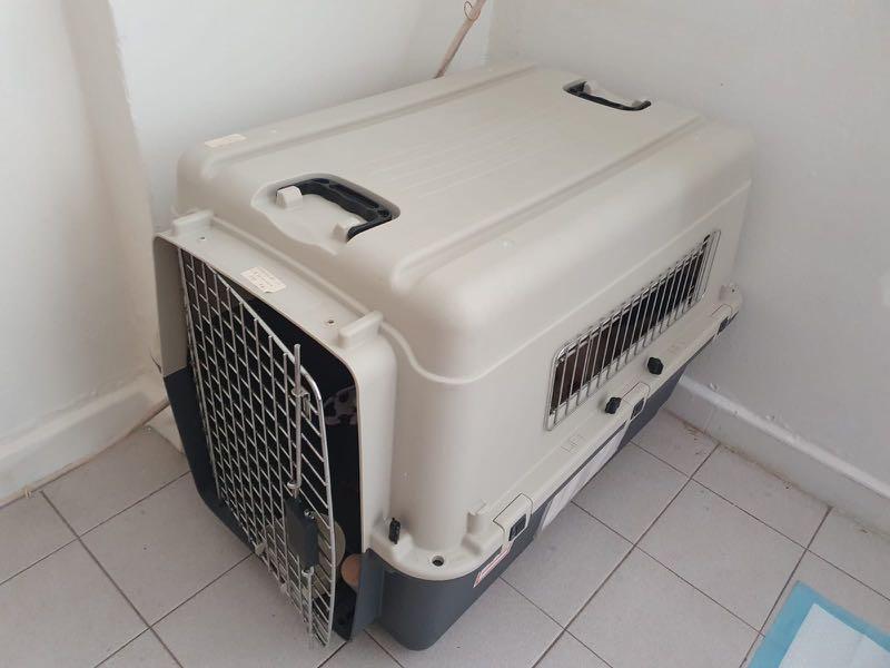 Dog crate(airline approved dog carrier), Pet Supplies, Homes & Other