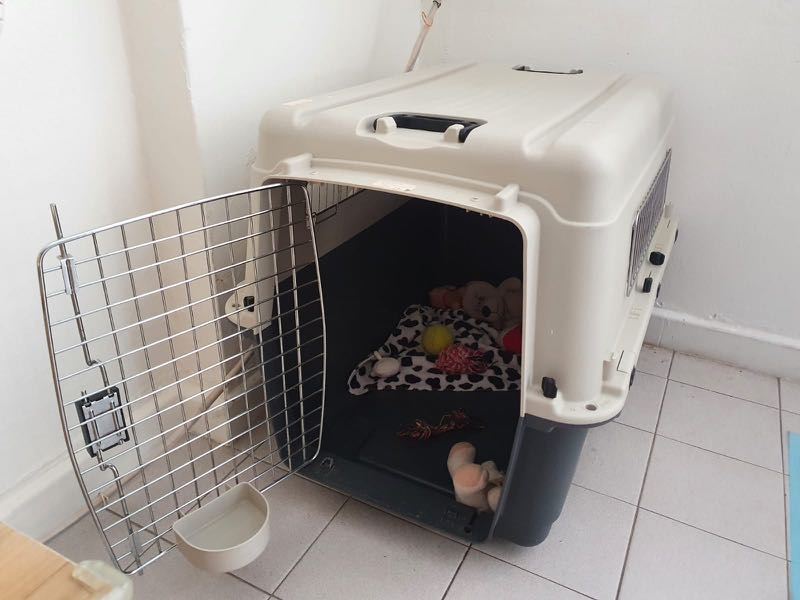 Dog crate(airline approved dog carrier), Pet Supplies, Homes & Other