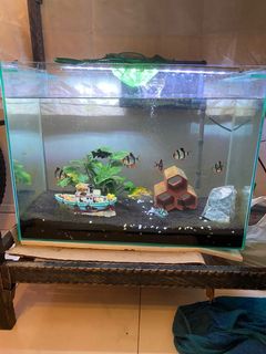 (Category: ) located in . Submitted by nicchee7785 (Listing ID 1075457362, Image 1). Description: .