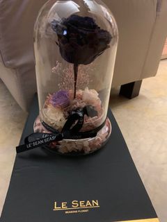 （分類：）位於 。 由 vavababy 提交（商品編號 1075437503，圖片 1）。簡介： 。