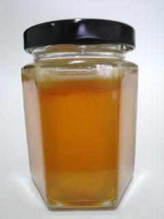 Madu Kelulut Asli (350 gram) 