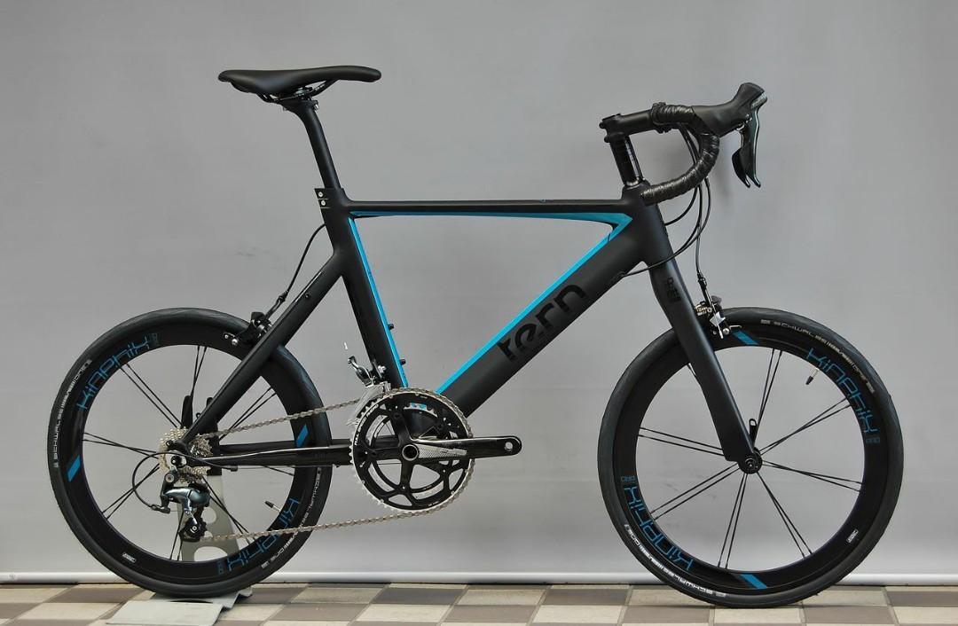 Tern Surge Pro 2021