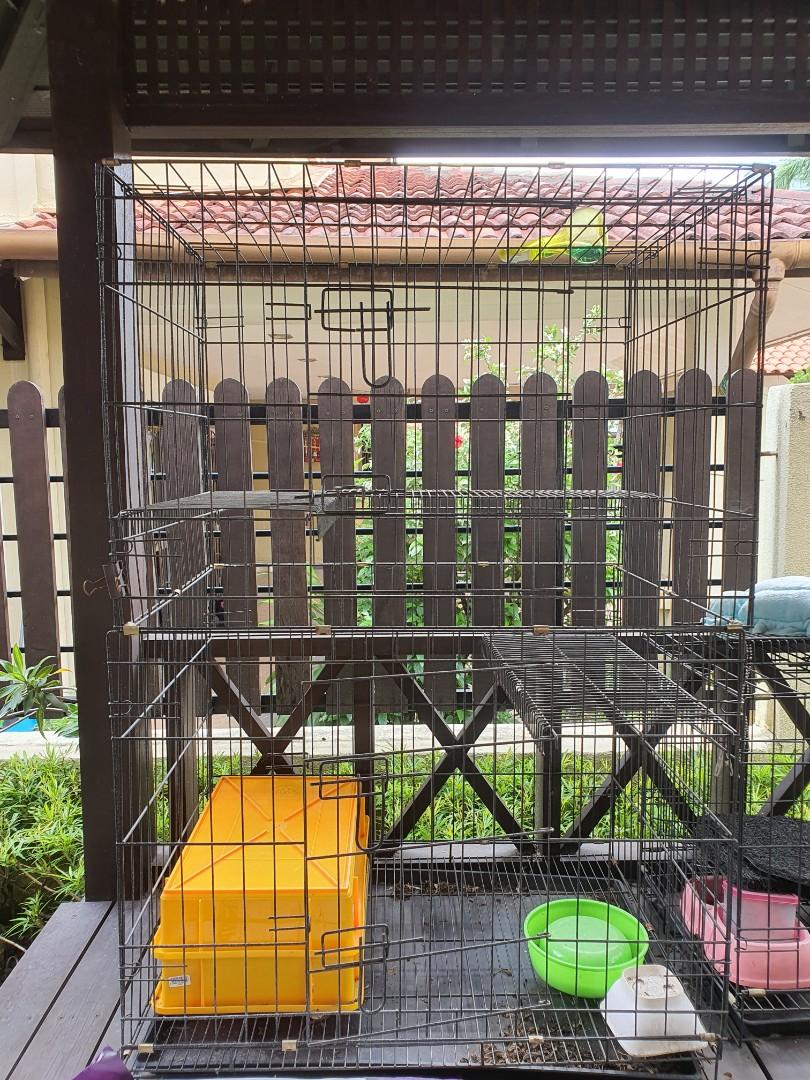 Cage / Sangkar Kucing, Pet Supplies, Pet Accessories on Carousell