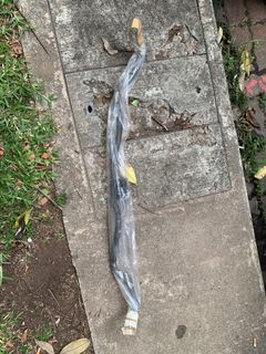 (Category: ) located in . Submitted by pco69 (Listing ID 1075597425, Image 1). Description: .