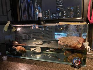 （分類：）位於 。 由 honestbuddy 提交（商品編號 1075832457，圖片 1）。簡介： 。
