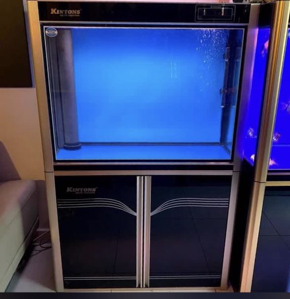 Aquarium Kinston 3.5ft Premium Tank, Pet Supplies, Homes & Other Pet