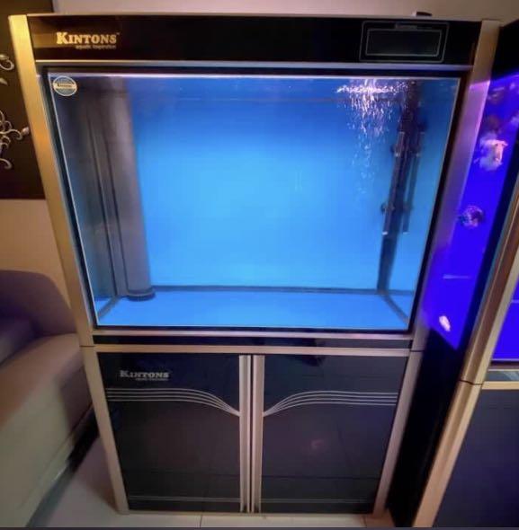 Aquarium Kinston 3.5ft Premium Tank, Pet Supplies, Homes & Other Pet