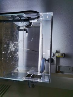 (Category: ) located in . Submitted by 2hdlelong (Listing ID 1075839830, Image 1). Description: .