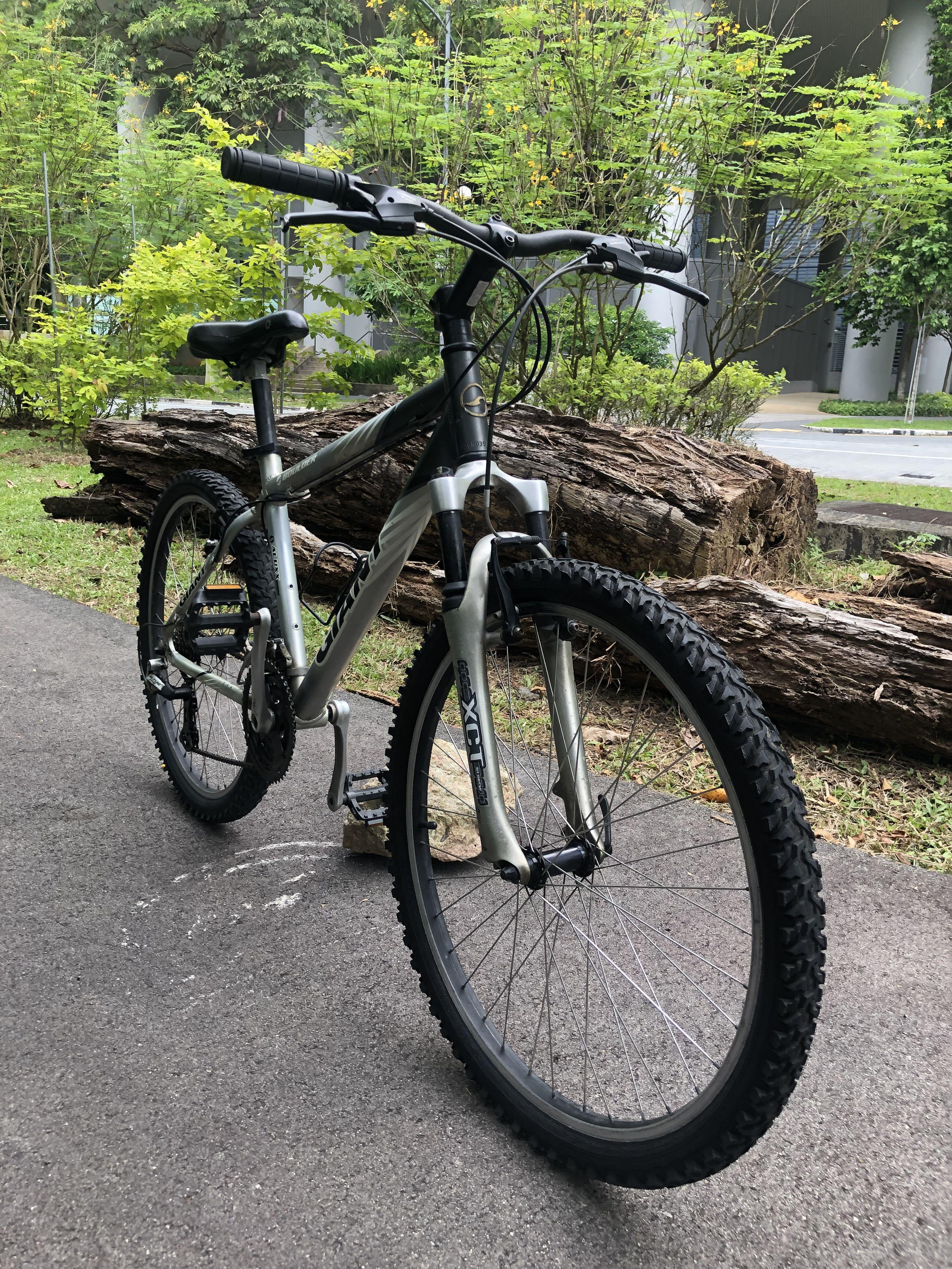 Giant BOULDER 26