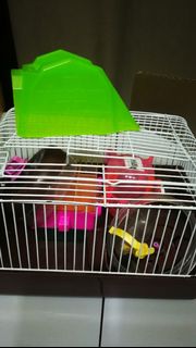 (Category: ) located in . Submitted by klmcde (Listing ID 1075849100, Image 1). Description: .