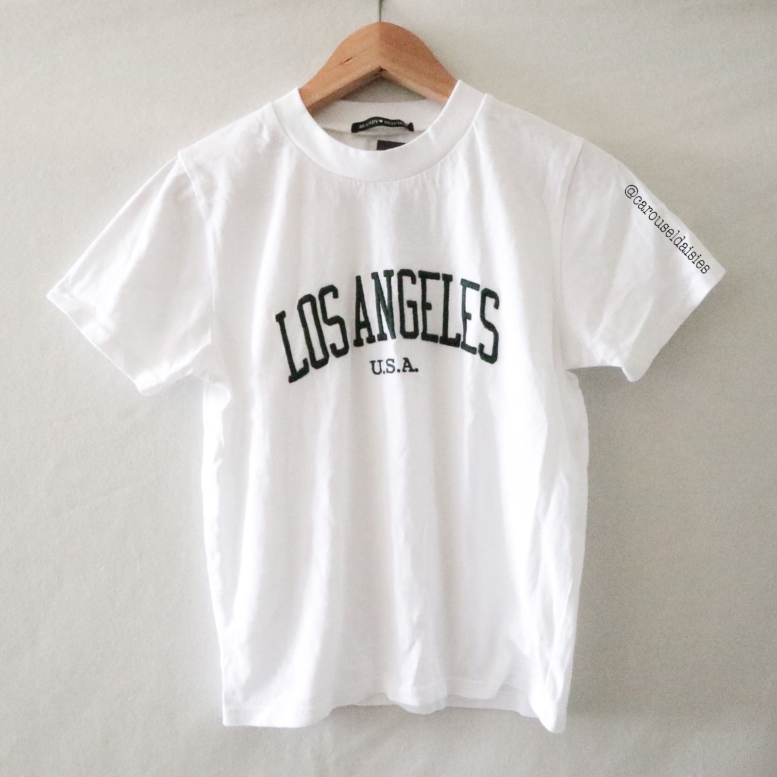 Brandy Melville Helen Los Angeles Top (White with green embroidery ...